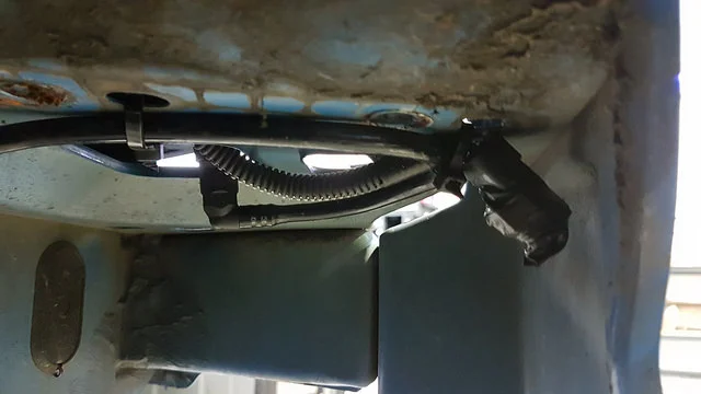 28894135276_501237e579_z.webp