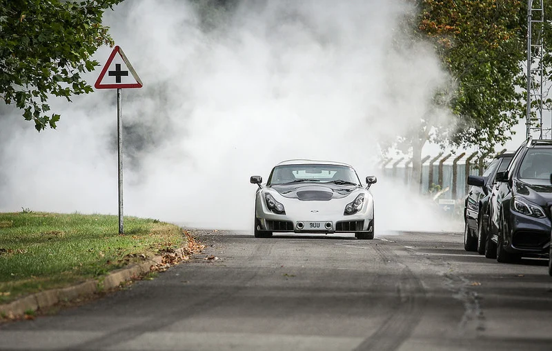 28999351950_105739eed6_c.webp