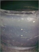 29032011055.webp