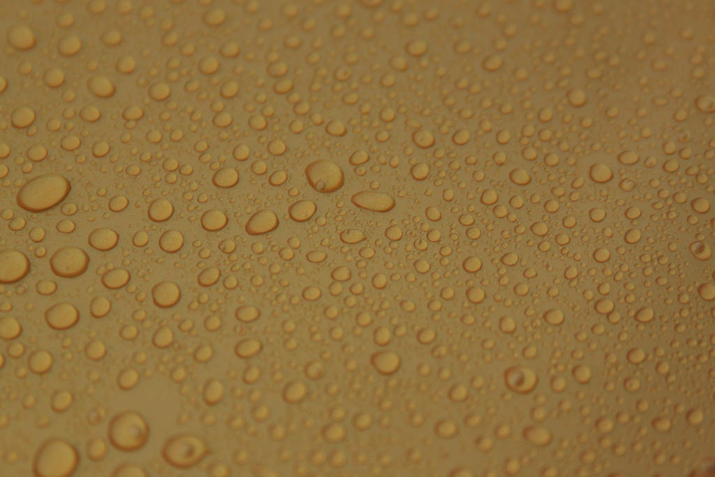 29120900514_7596d87b11_b.jpg