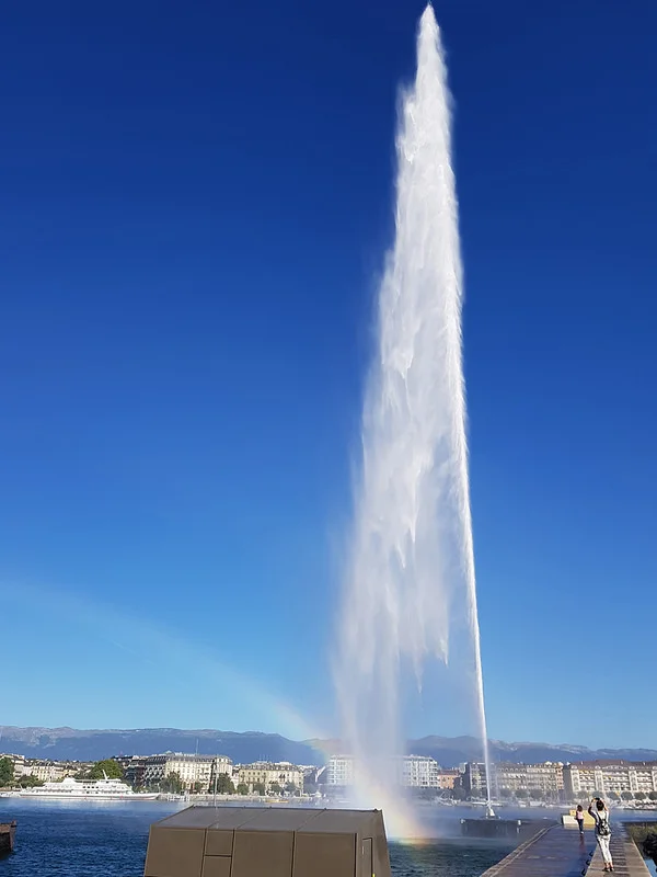 29158453597_a8bc485ec7_c.webp