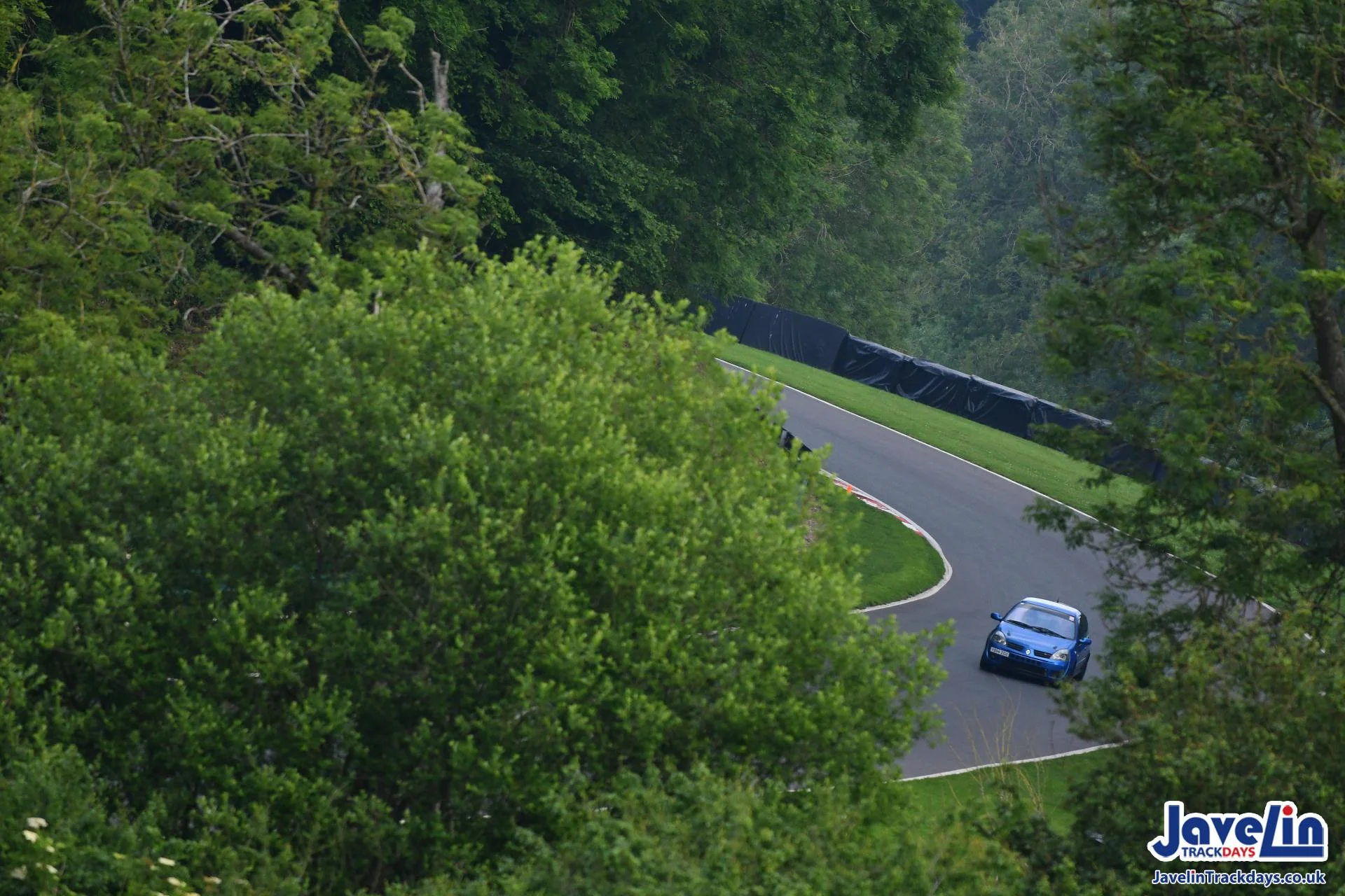 2CE272C0-C854-4E28-A673-B1A90824CC75.webp