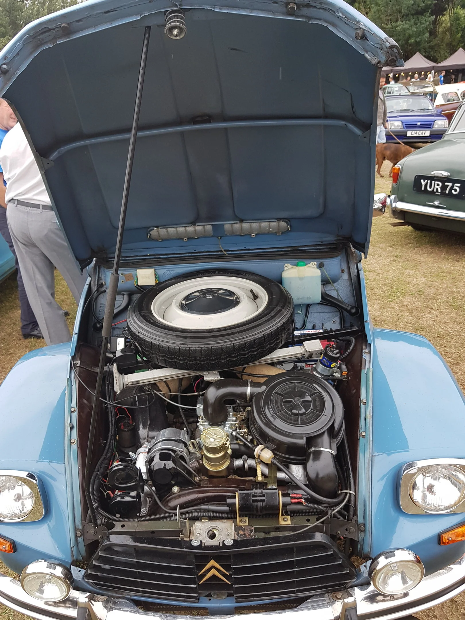 2cv.webp