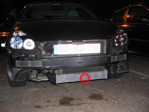 2el9ixk.webp