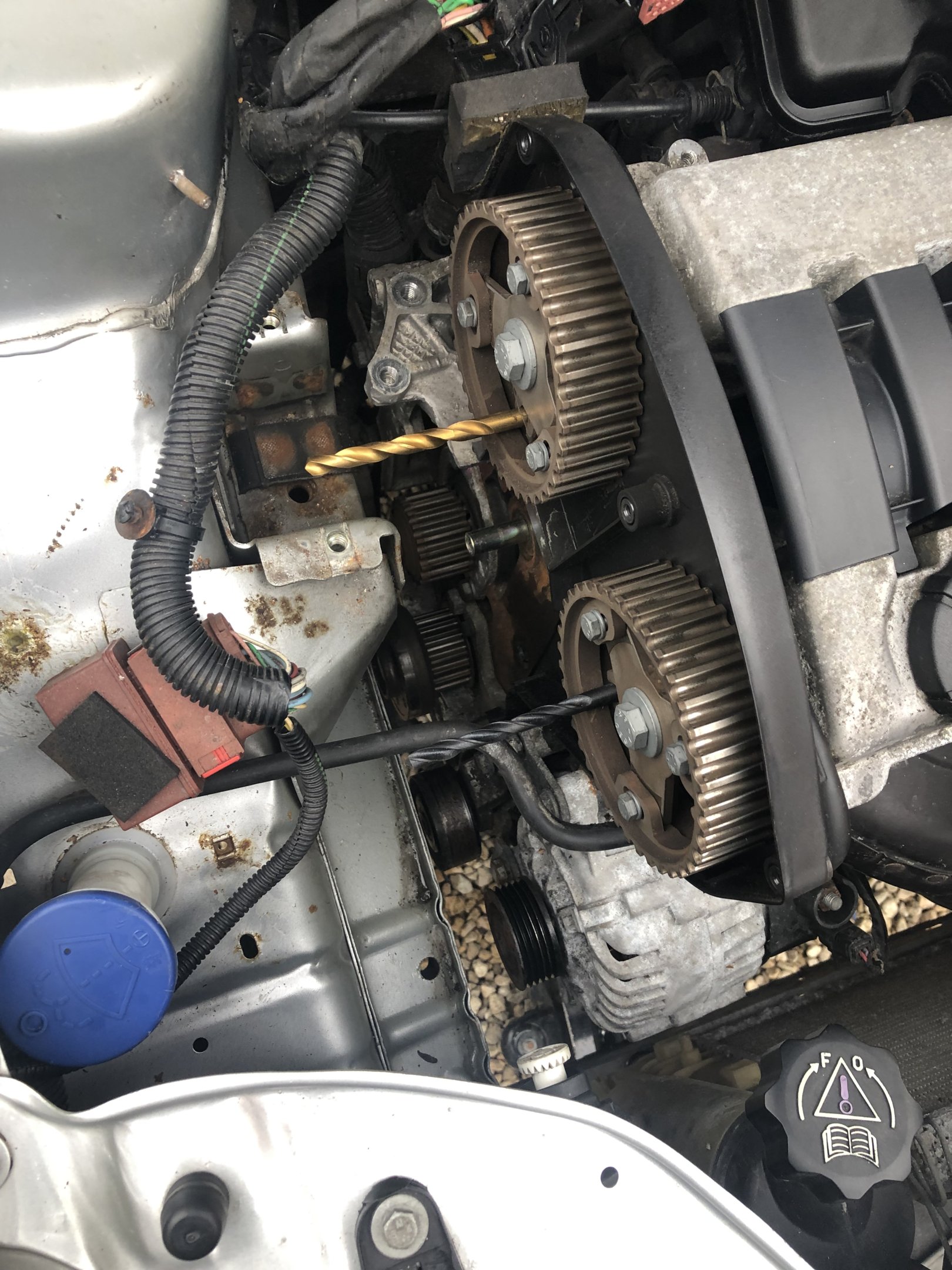 2FCA633F-41C2-44C4-AB45-7E5BC99186C6.jpeg