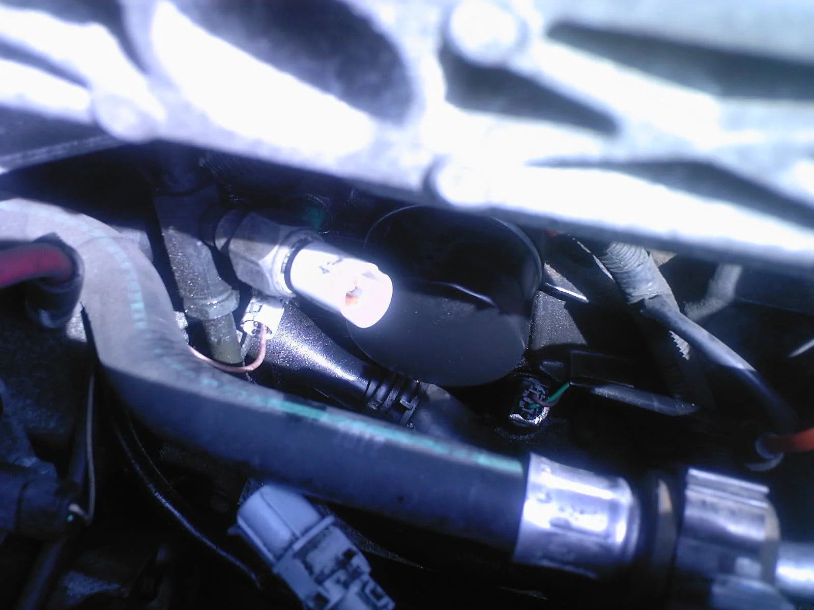 2gy59c4.webp