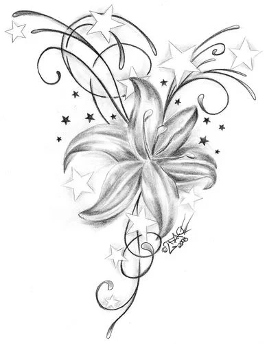 2hobp75.webp