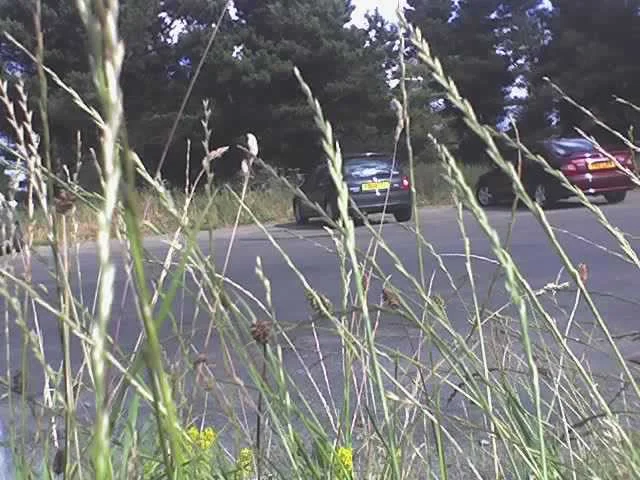 30-07-06_1630.webp