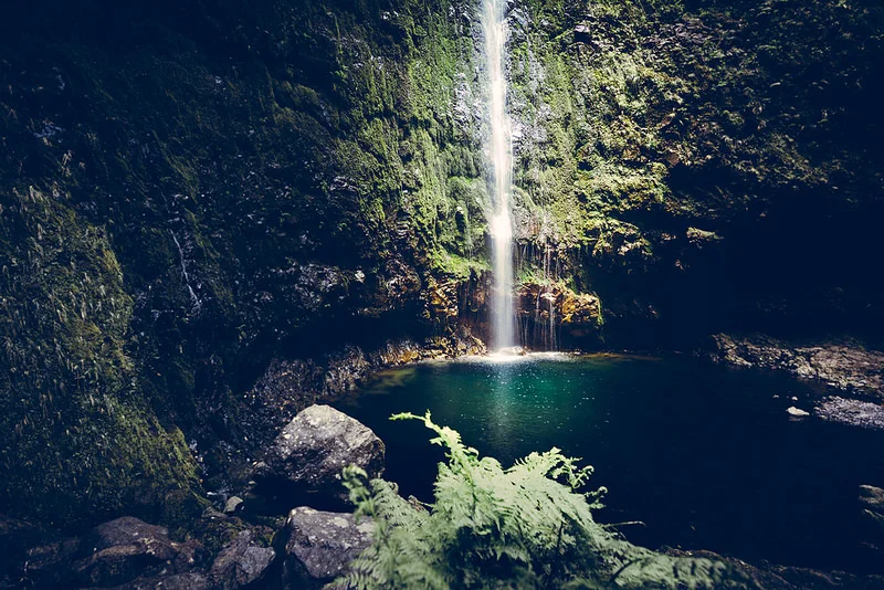 30033372523_d476ef7146_c.webp