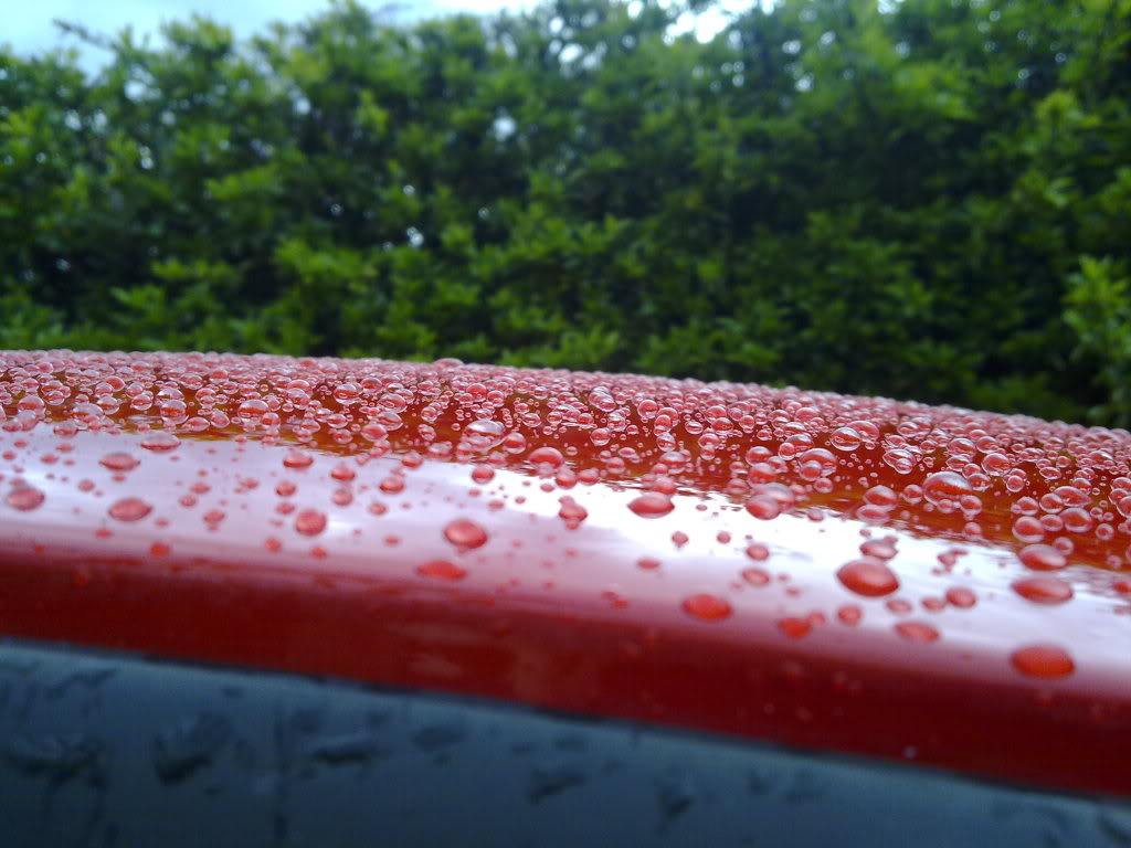 30042010013.jpg 30042010013.jpg