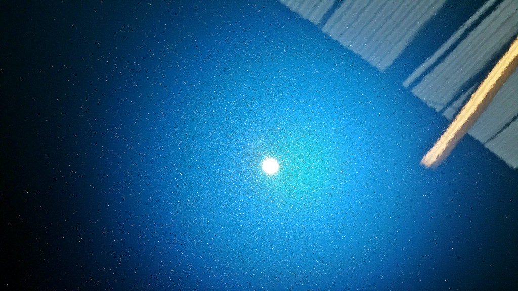 30116601603_5927dc8538_b.jpg