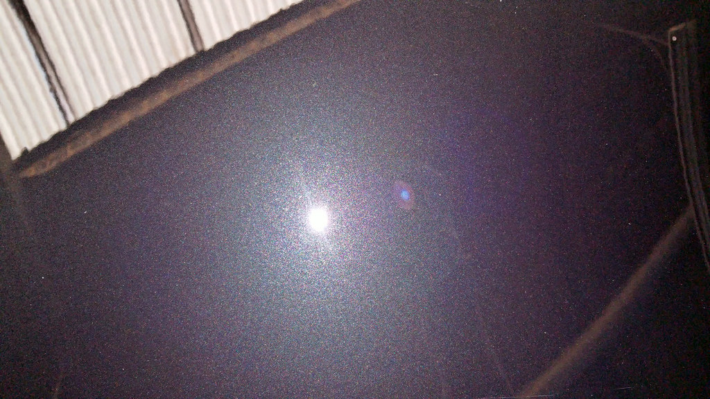 31131632170_052ae6867a_b.jpg