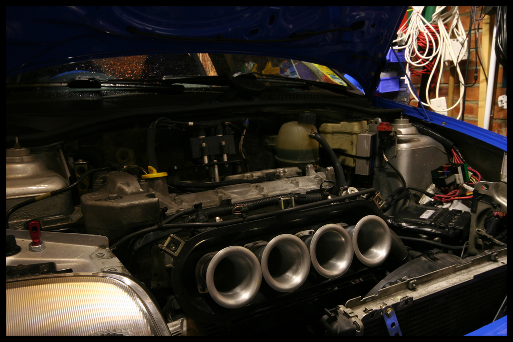 3123131124_6288874177_b.jpg 3123131124_6288874177_b.jpg