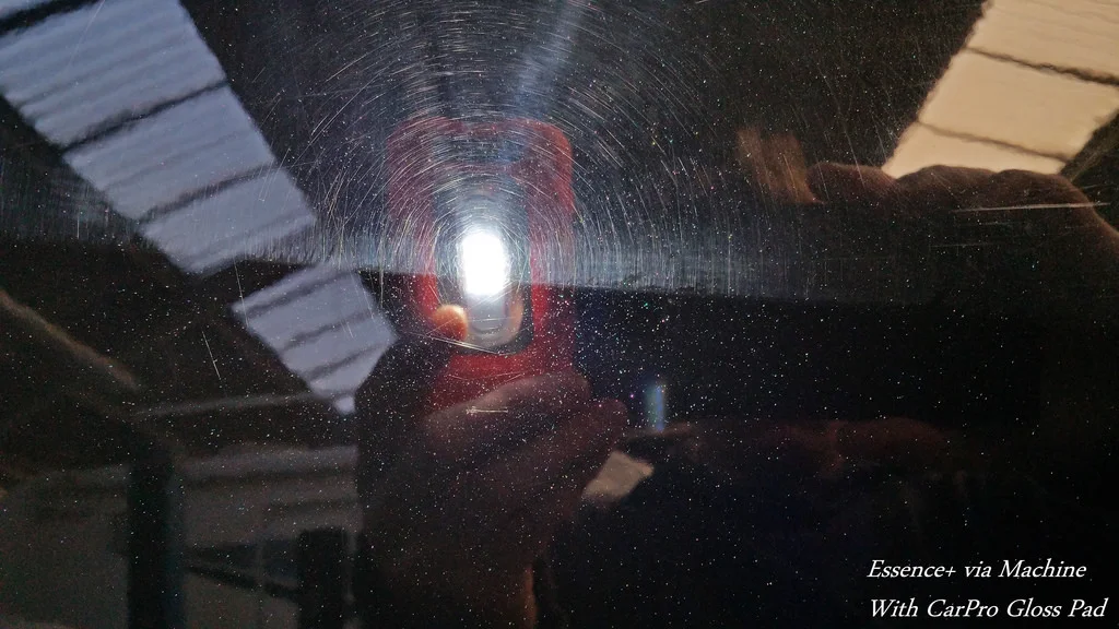 31502678475_acf0ec875d_b.webp