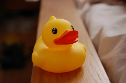 3160220744_c695f75d0d.webp