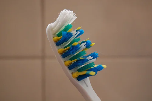 3160227388_ffc351600a.webp