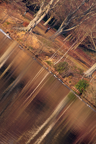 3166610020_41140313ab.jpg 3166610020_41140313ab.jpg