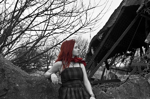 3201387547_038c21e27a.webp