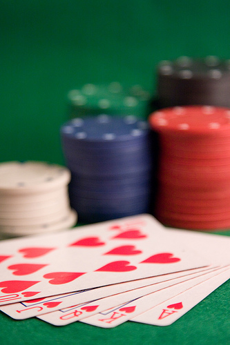 3211567825_7278305504.jpg 3211567825_7278305504.jpg