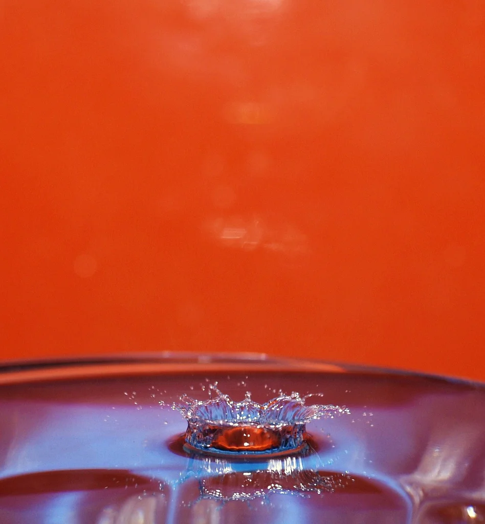 3217197769_b845f4a365_b.webp