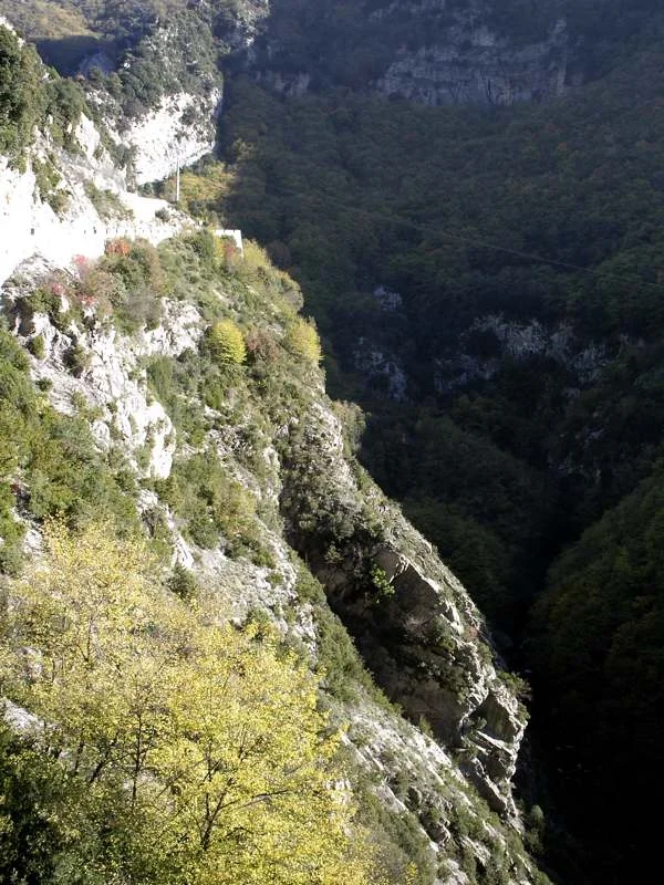 3229452389_ef6f51636e_o.webp