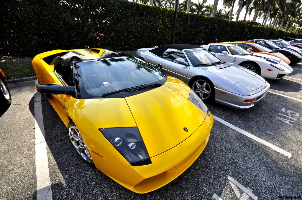 3230204166_25186ff7fe_b.webp