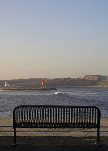 3250440525_1f905aa1ec.webp
