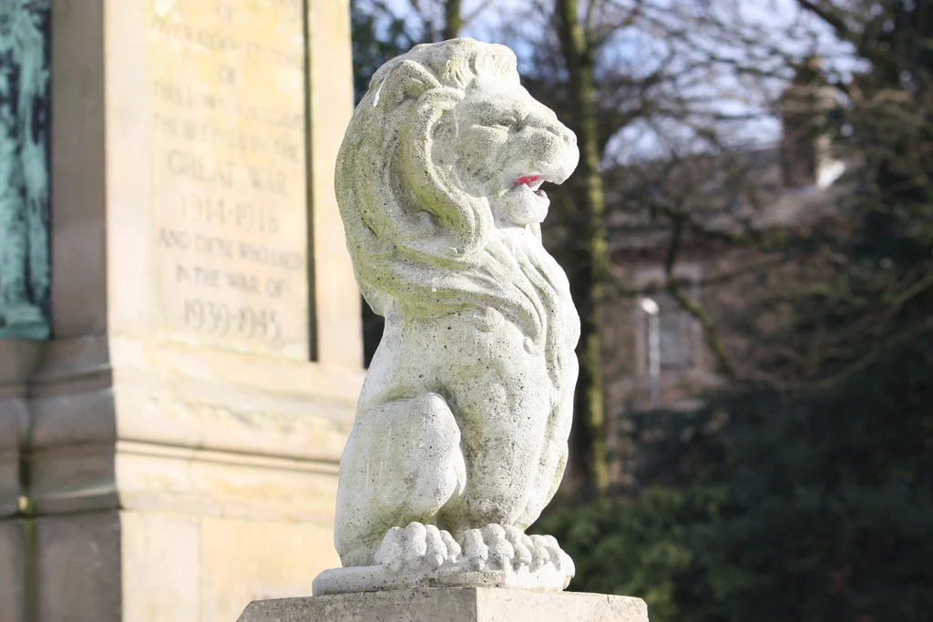 3259789543_aab37d90fc_b.webp