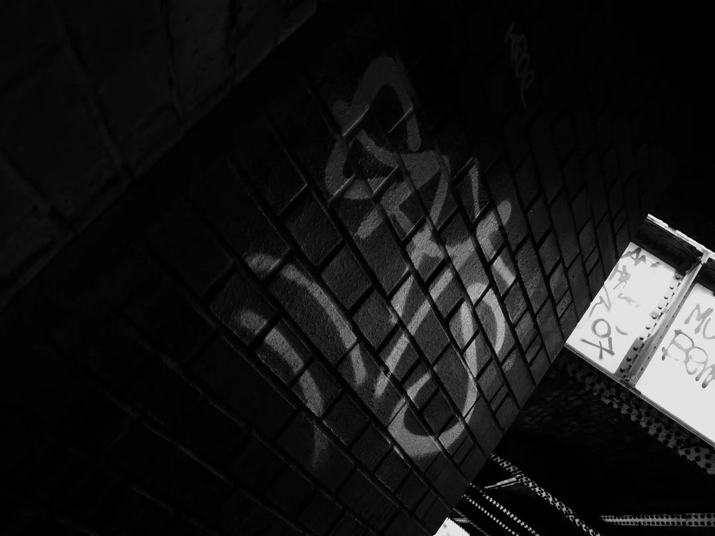 3303460199_5399d3f638_b.webp