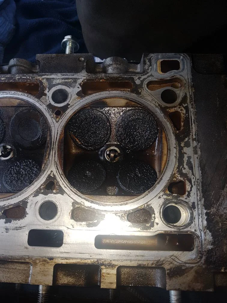 330fca2db9755a7b6dd7c2ed1bc9a877.webp
