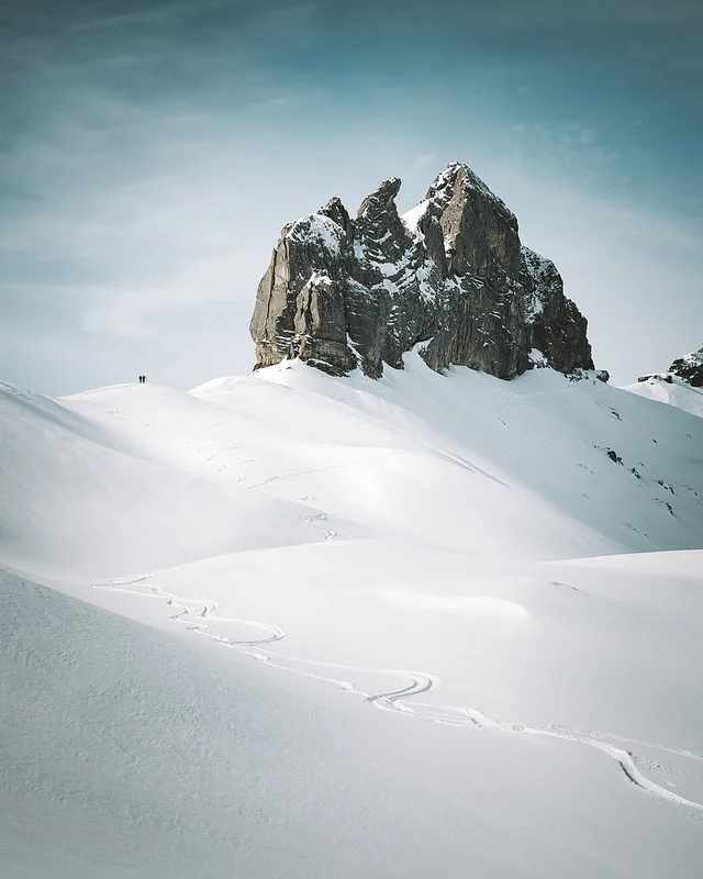 33173245515_56c1c49fc0_c.webp