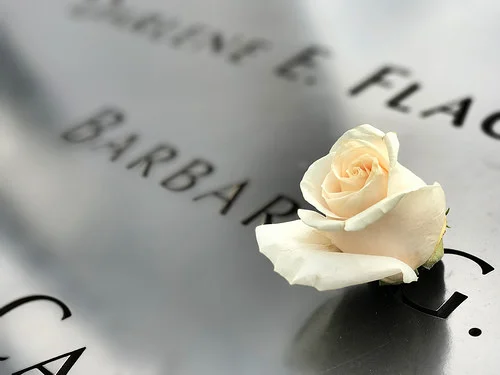 33474014770_131f67d17c.webp