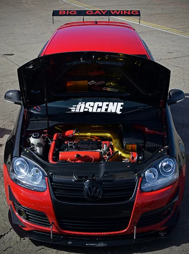33508402792_f1e1112d88_z.webp