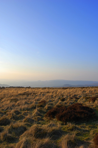 3365770127_837ba49f17.jpg 3365770127_837ba49f17.jpg