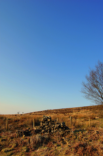 3366591190_007458a3a9.jpg 3366591190_007458a3a9.jpg