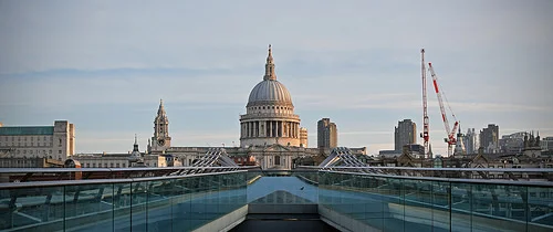 33707042805_aa7363ccfa_z.webp