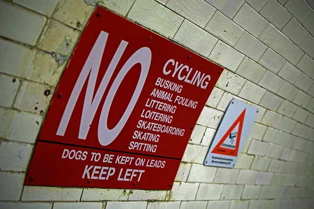 33707091755_055b98ab77_z.webp