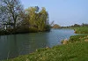 3377431618_d61db0ef88_t.webp
