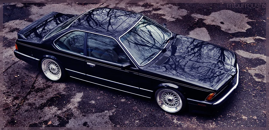 3390878681_11e3379d1b_o.webp