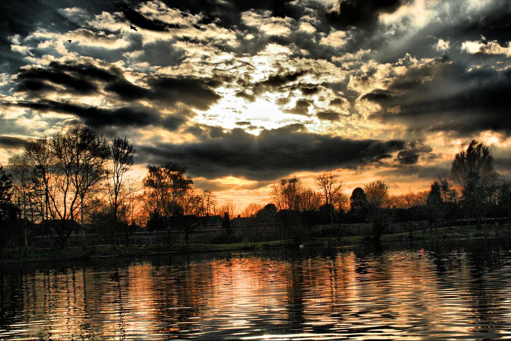 3398495151_8ac92db817_b.webp
