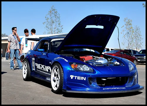 3413309319_52f8417fb4.webp
