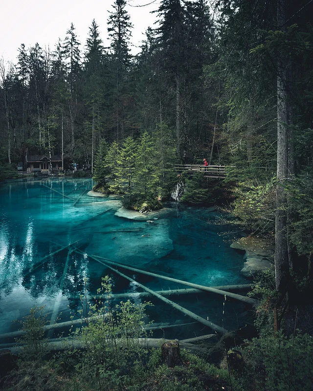 34302141421_7567329b76_c.webp