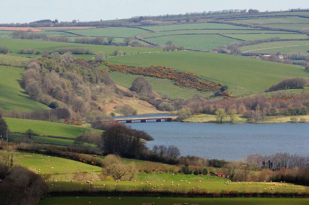 3440717145_ccc4e43a2c_b.jpg 3440717145_ccc4e43a2c_b.jpg