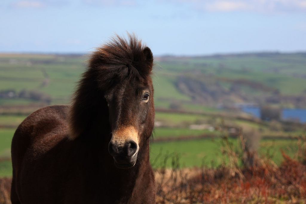 3441530534_82fff05383_b.jpg 3441530534_82fff05383_b.jpg