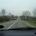 3445170225_9a980c8c34_s.webp