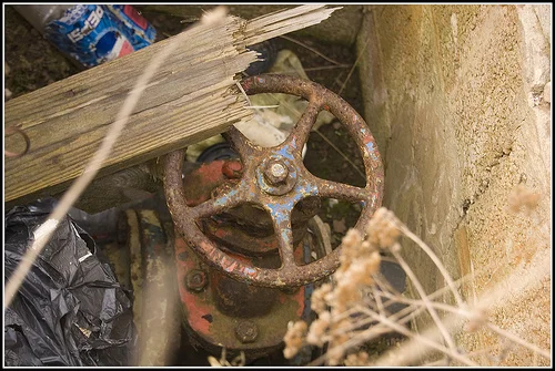 3449253741_1f1e56a7e2.webp