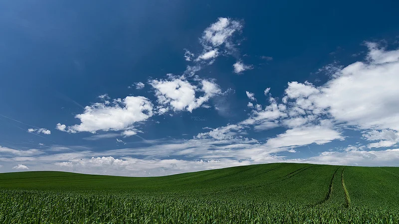 34823396565_775151e24a_c.webp