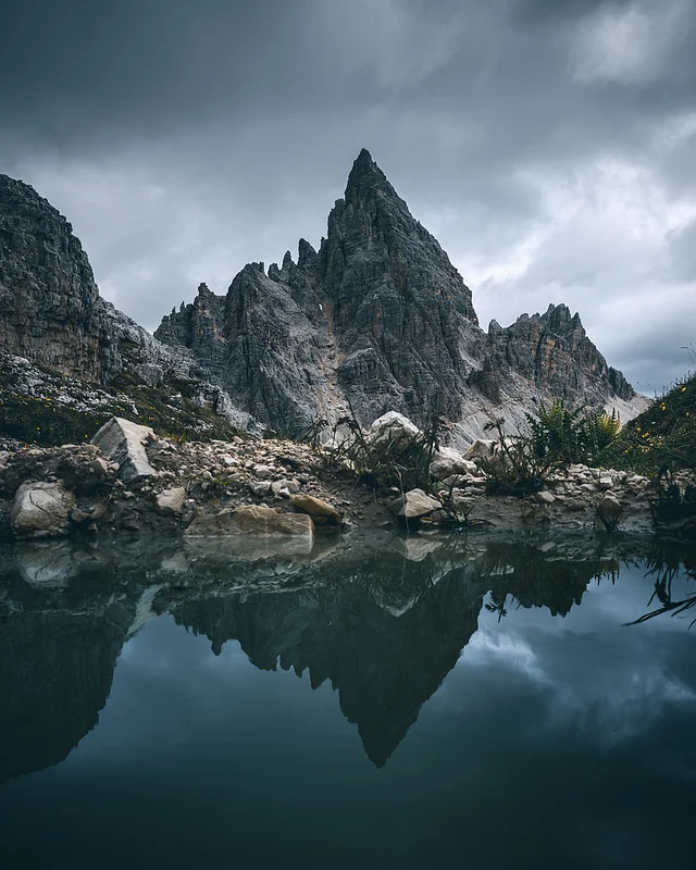 34906448163_0017ac81e0_c.webp