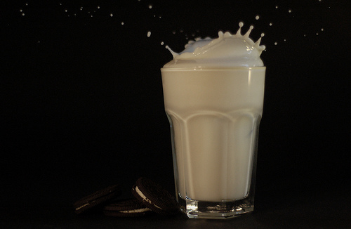 3497138750_ec45db261f.jpg 3497138750_ec45db261f.jpg