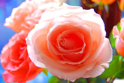 3497364912_9ab1e0052c.webp